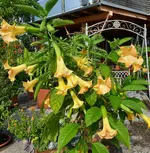 20220829_094757.webp