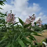 20220829_101545.webp