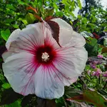 20220829_094930.webp