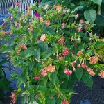 20220828_192232.webp
