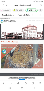 Screenshot_20220829-131914_Samsung Internet.webp