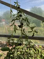 F0102E9B-FBC4-4DF5-B67E-83C58D03A17C.jpeg
