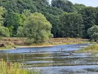 IMG-20220830-WA0018.webp