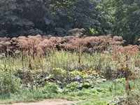 IMG-20220830-WA0011.webp