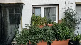 Foto 30.08.22, 18 39 58.webp