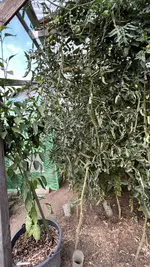 633848E1-8DDA-42CC-9BDC-C34490E25507.jpeg