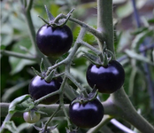 Screenshot_20220831-112341_Chrome.webp