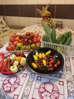 IMG_20220831_134511.webp