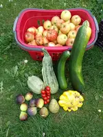 IMG_20220901_150747.webp