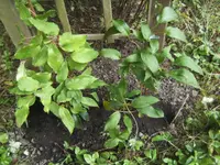 BILD0446.webp