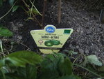 BILD0447.JPG