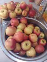 IMG_20220903_140212.webp