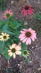 20220904_084940.jpg