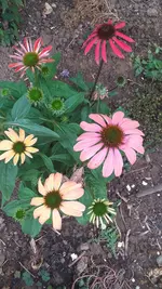 20220904_084940.webp