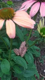 20220904_085000.webp