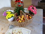 DSC02630.JPG