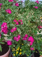 20220905_213447.jpg
