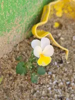 20220905_204158.jpg