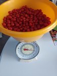 IMG_20220905_163923.jpg