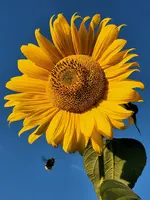20220831_191742.webp