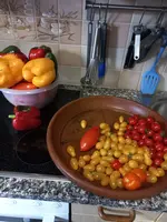 20220907_082304.webp