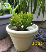 1662552388481.webp