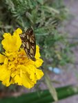 PXL_20220907_152715759.PORTRAIT.jpg