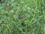 BILD0449.JPG