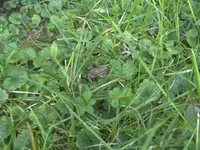 BILD0449.webp