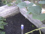 BILD0450.JPG