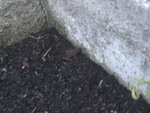 BILD0452.JPG