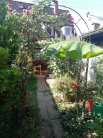 IMG_20220904_112756.webp