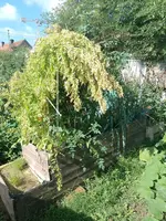IMG_20220904_110819.webp
