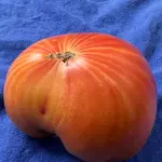 6F0B9A41-1A77-4B95-A0FD-5F5688826DB1.jpeg