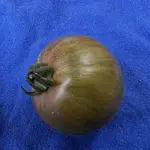 4B0D2D3F-DF9F-45EB-8FF7-82A157233124.jpeg