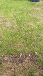 20220910_143401.jpg