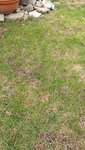20220910_143412.jpg