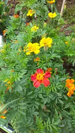 20220910_143433.webp