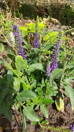 20220910_143533.webp