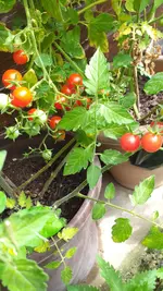 20220910_143745.webp
