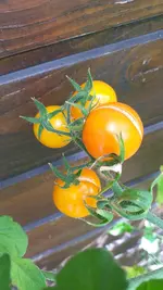 20220910_143824.webp
