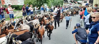 20220903_120604.webp 20220903_120604.webp