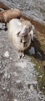 20220906_124047.webp 20220906_124047.webp