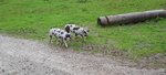 20220909_132257.jpg