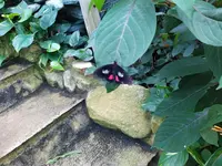 IMG_20220909_140956.jpg