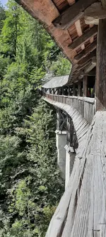 20220904_125520.webp