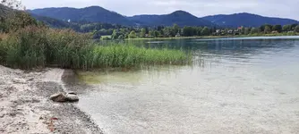 20220909_171150.webp