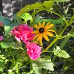 20220911_181227.webp
