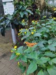 IMG_20220909_141700_2.jpg