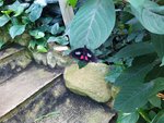 IMG_20220909_140956.jpg